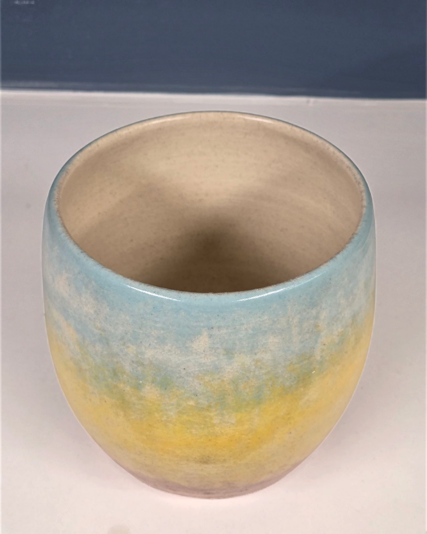 The Scenic Pot