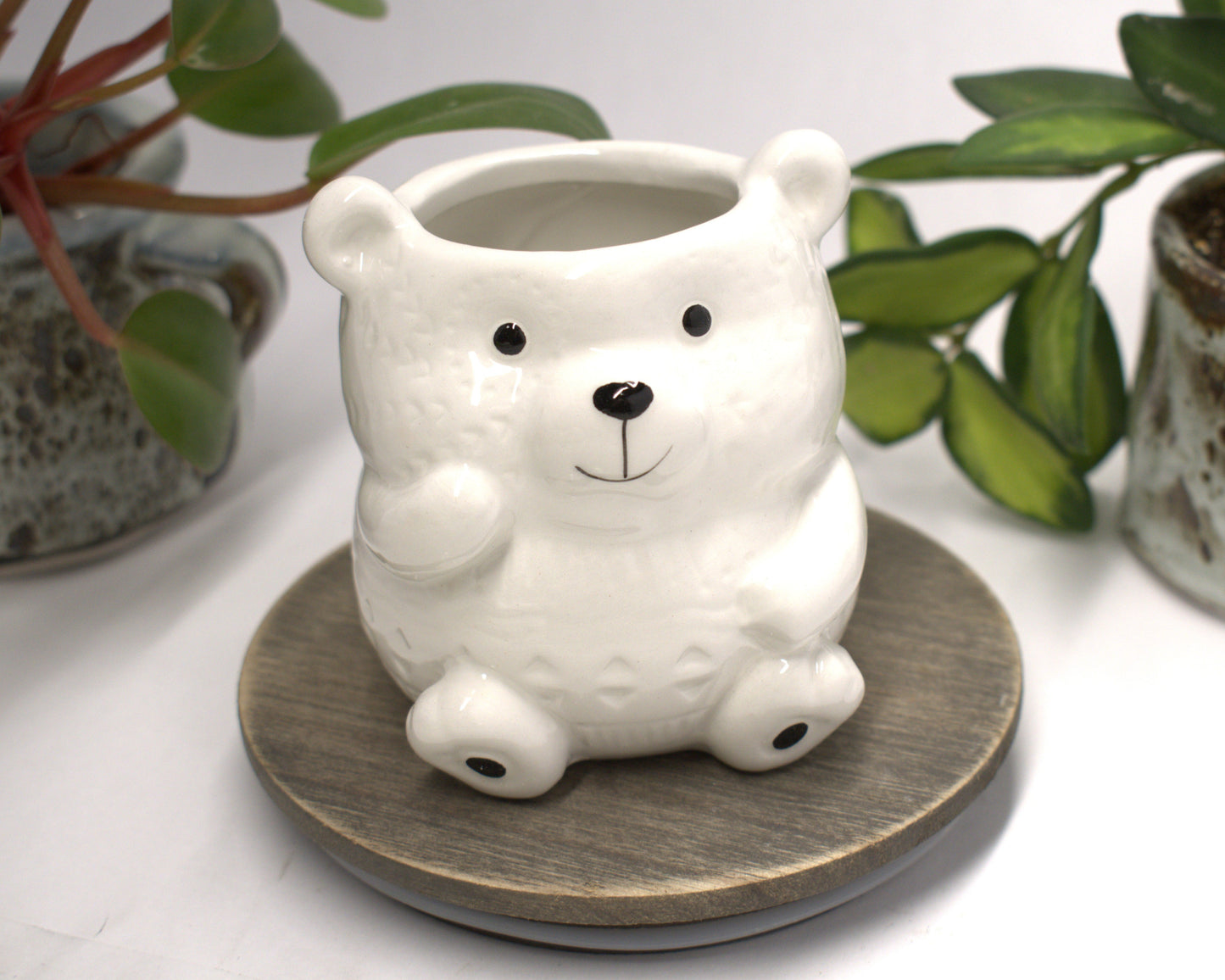 Small 2-inch Caricature Ceramic Polar Bear Succulent pots