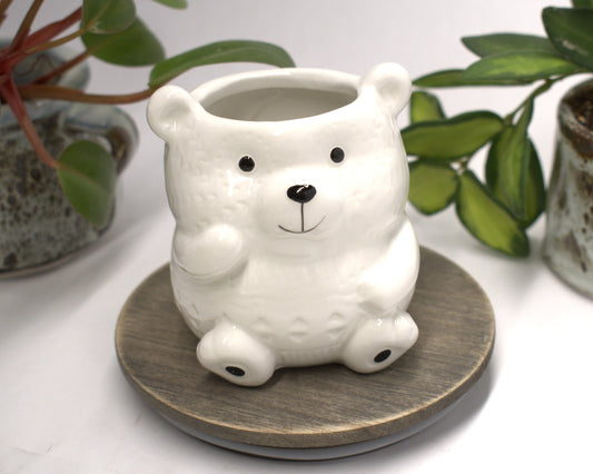 Small 2-inch Caricature Ceramic Polar Bear Succulent pots