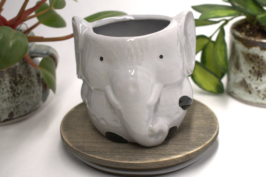 2" Ceramic succulant pot "Elephant"